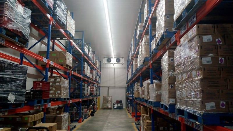 Interior de la cámara refrigerada con racks de almacenamiento cargados