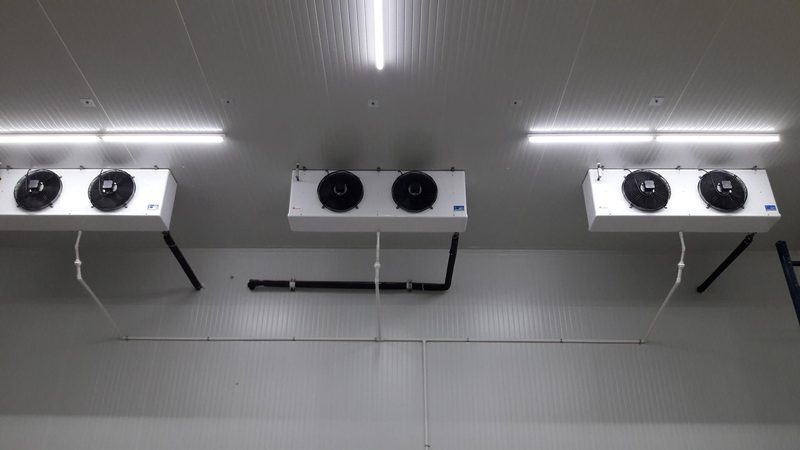 Evaporadores de techo dentro del cuarto refrigerado